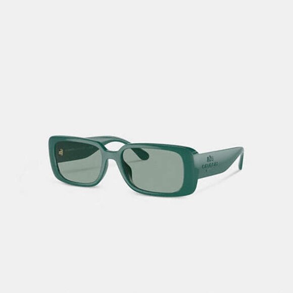 Narrow Rectangle Sunglasses - Picture 1 of 7